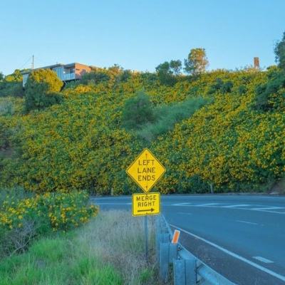 酱板鸭视频爆火 证明了谁才是真主角